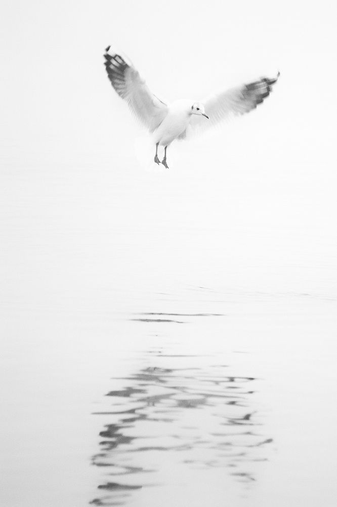 Photograph by Владимир Леликов-Кузьменко