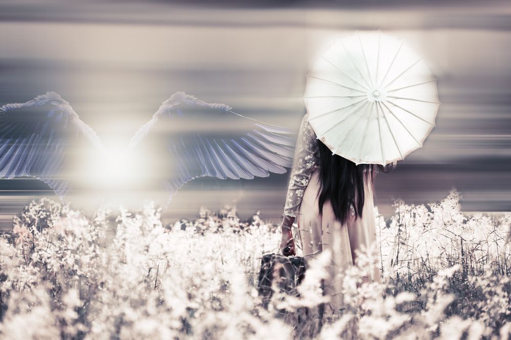 Фотография автора Stella Marys Valdiviezo