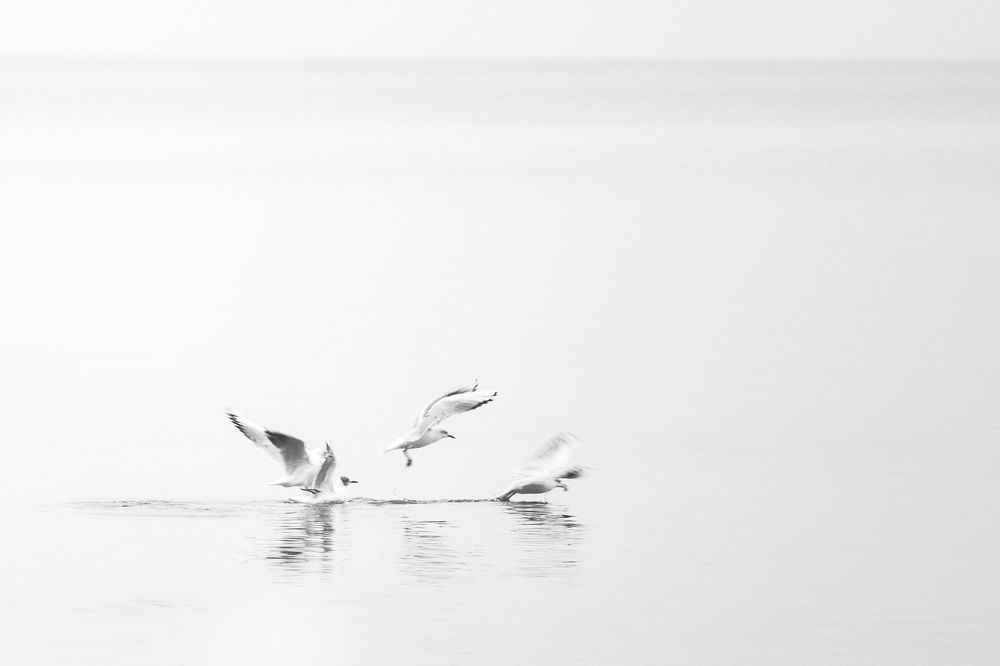 Photograph by Владимир Леликов-Кузьменко