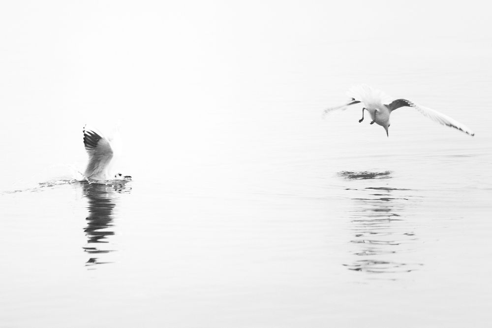 Photograph by Владимир Леликов-Кузьменко