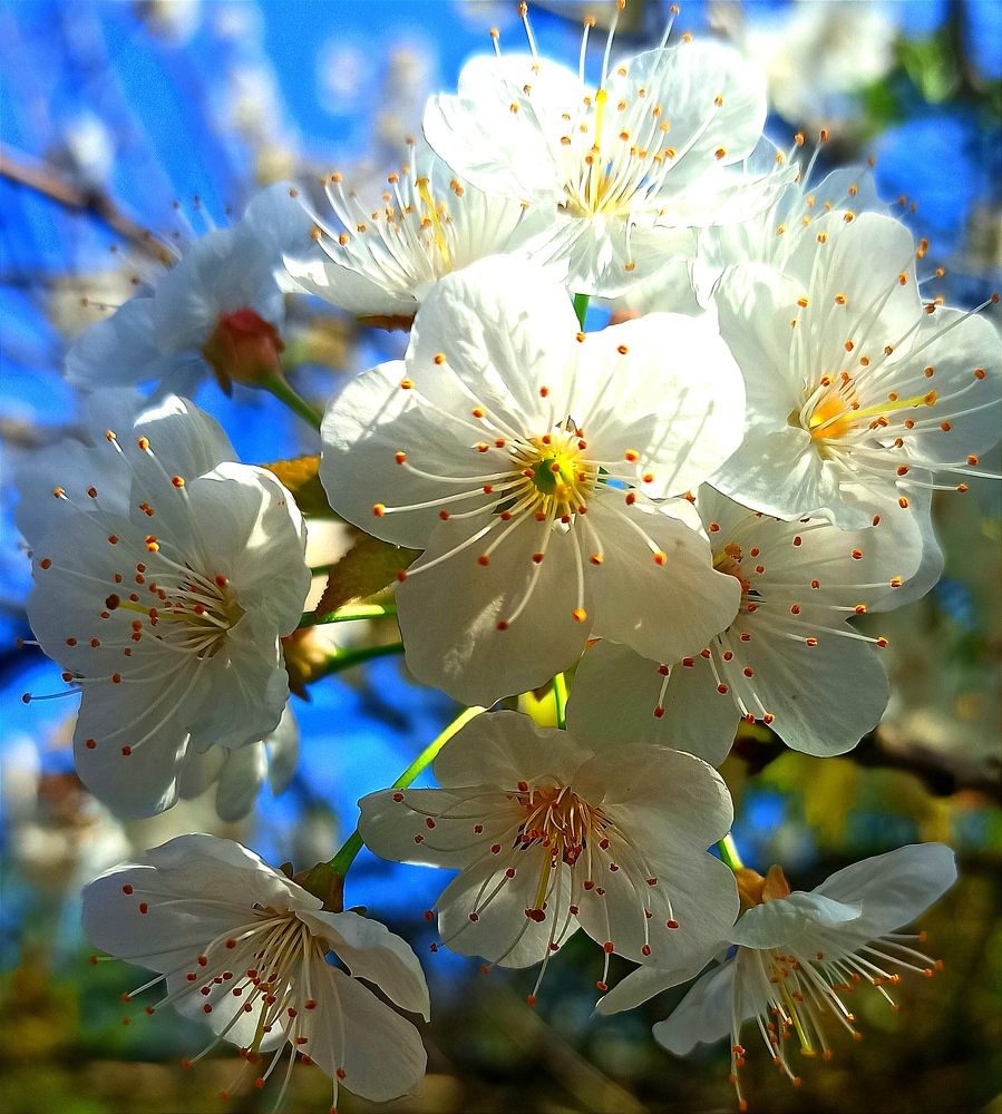 Photograph by Ольга Тихонова