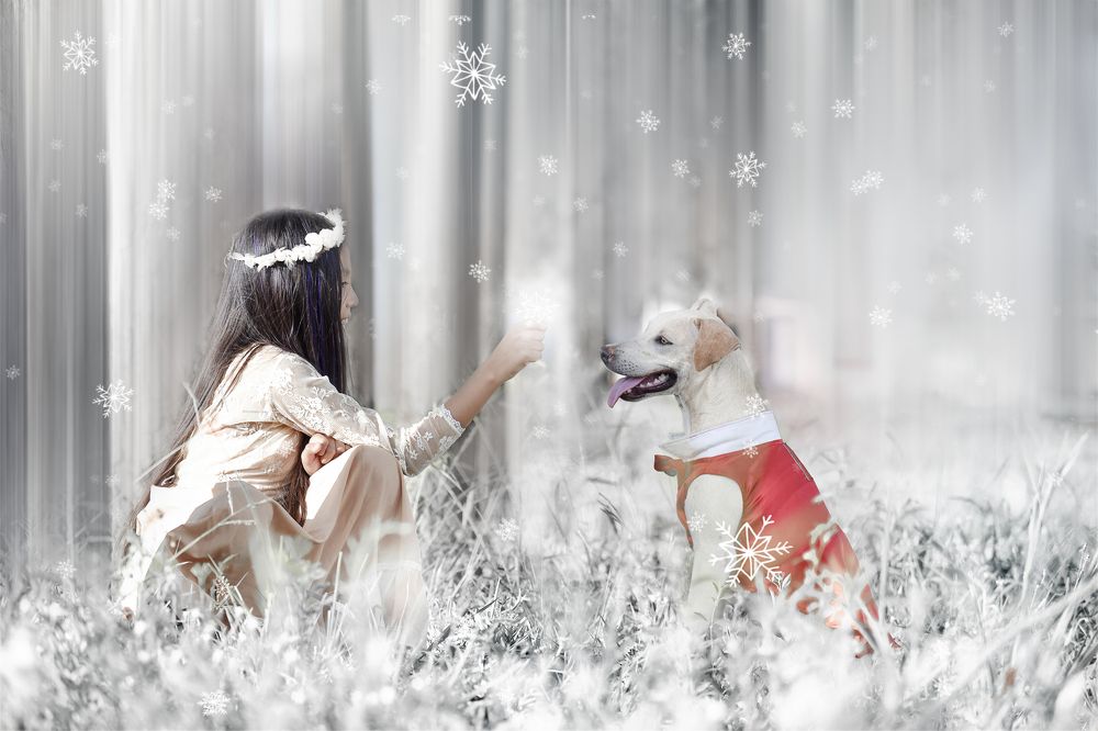 Фотография автора Stella Marys Valdiviezo