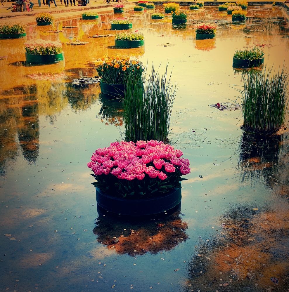 Photograph by Gianni Bertolini