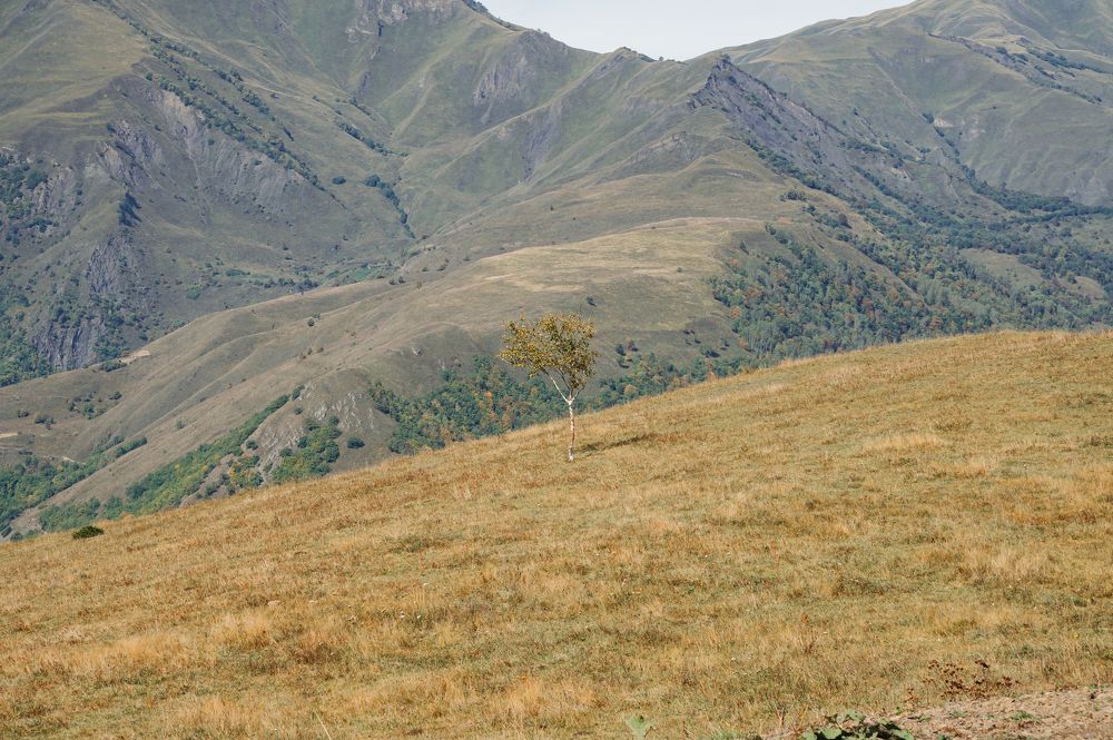 Photograph by Имран Жулягов