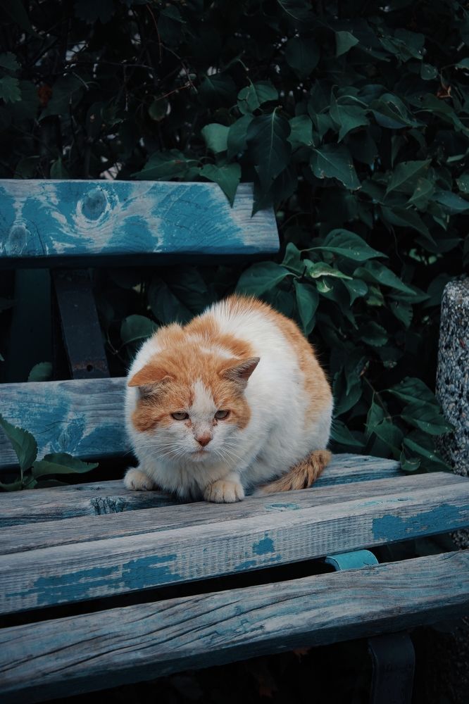 Photograph by Карина Терентьева