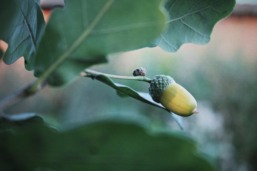 Photograph by Карина Терентьева