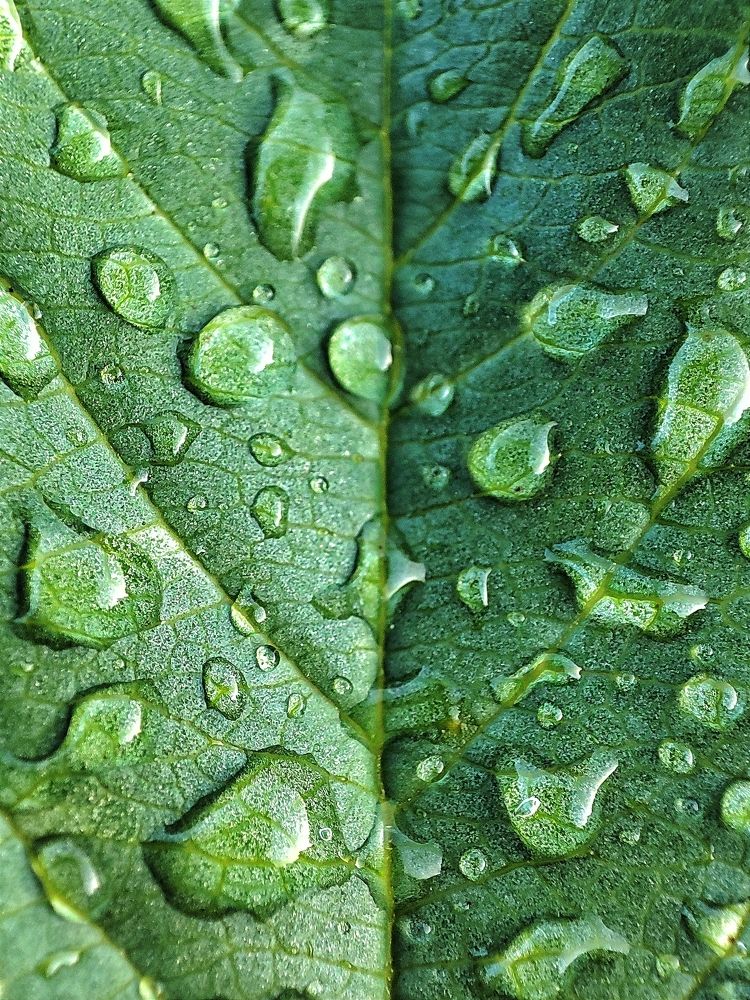 Photograph by Дмитрий Фетисов