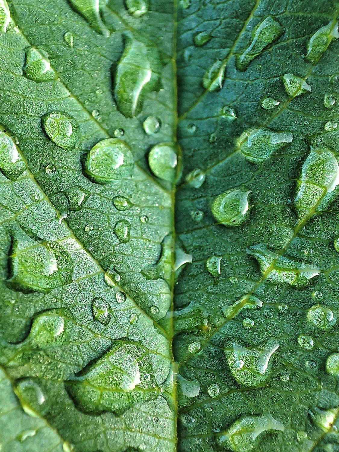 Фотография #11382568