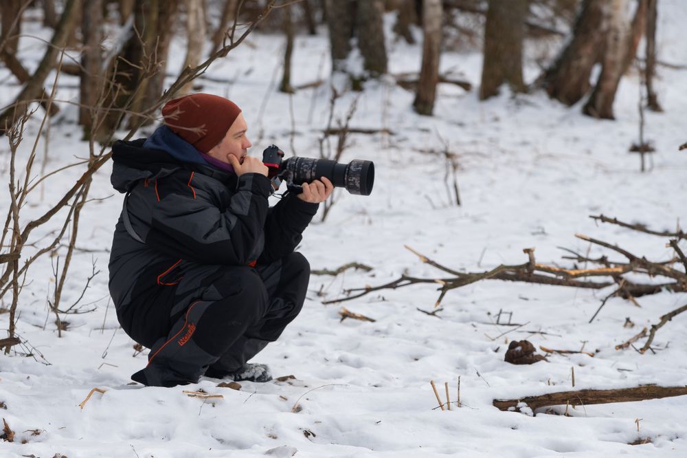 Фотография автора Светлана Зимина