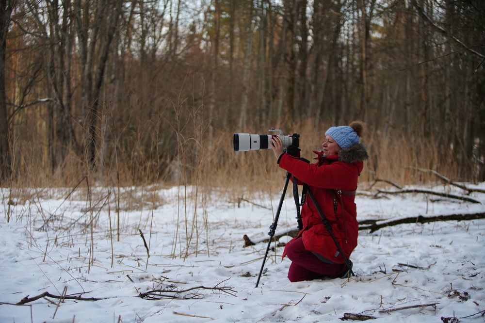 Фотография автора Светлана Зимина