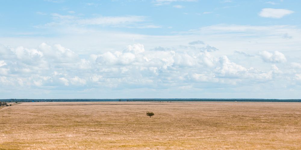 Photograph by Роман