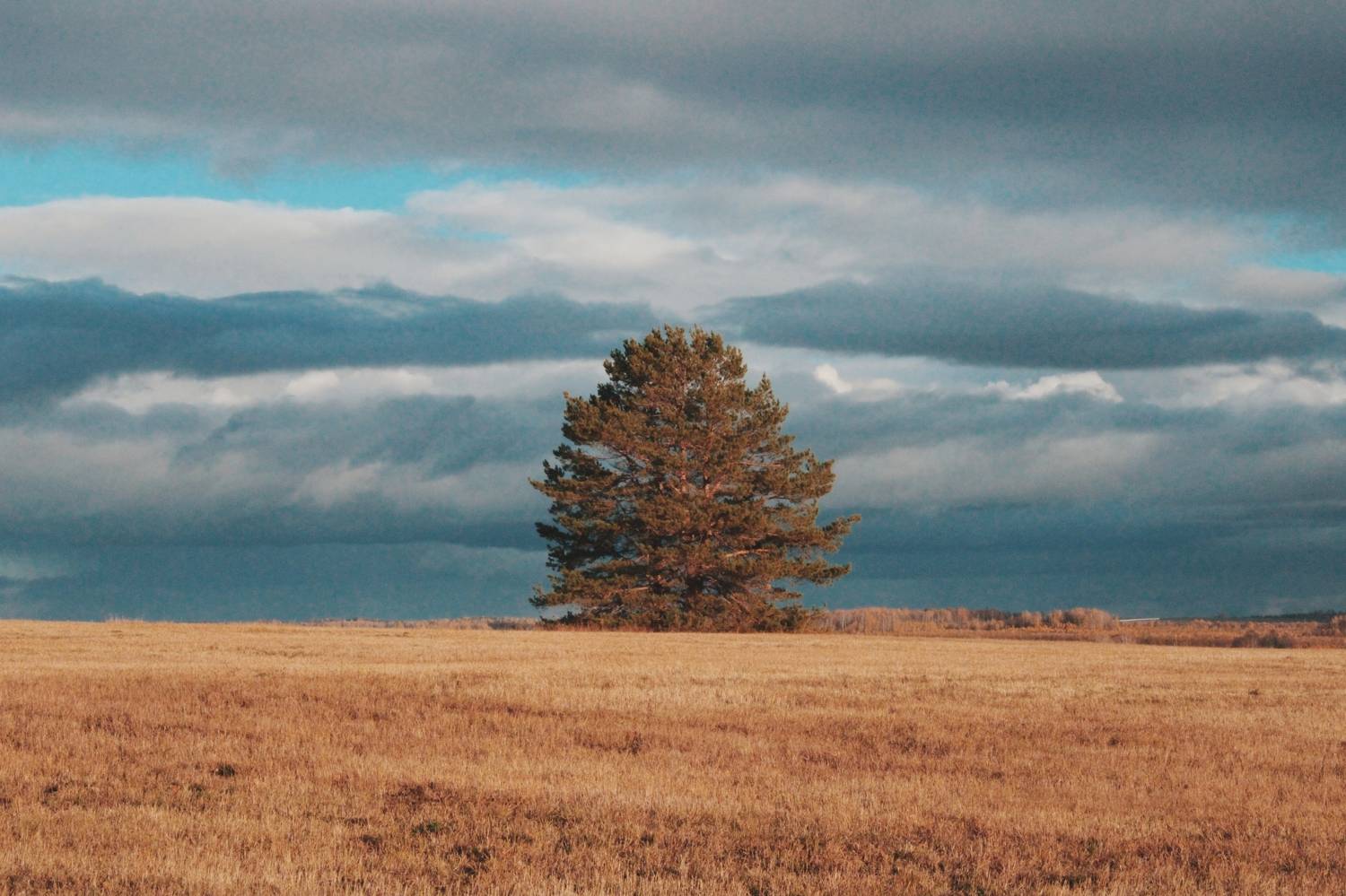 Photo #11382584