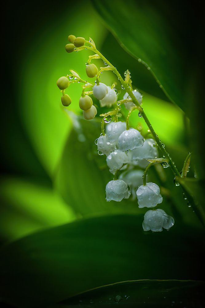 Photograph by Марина Мурашова