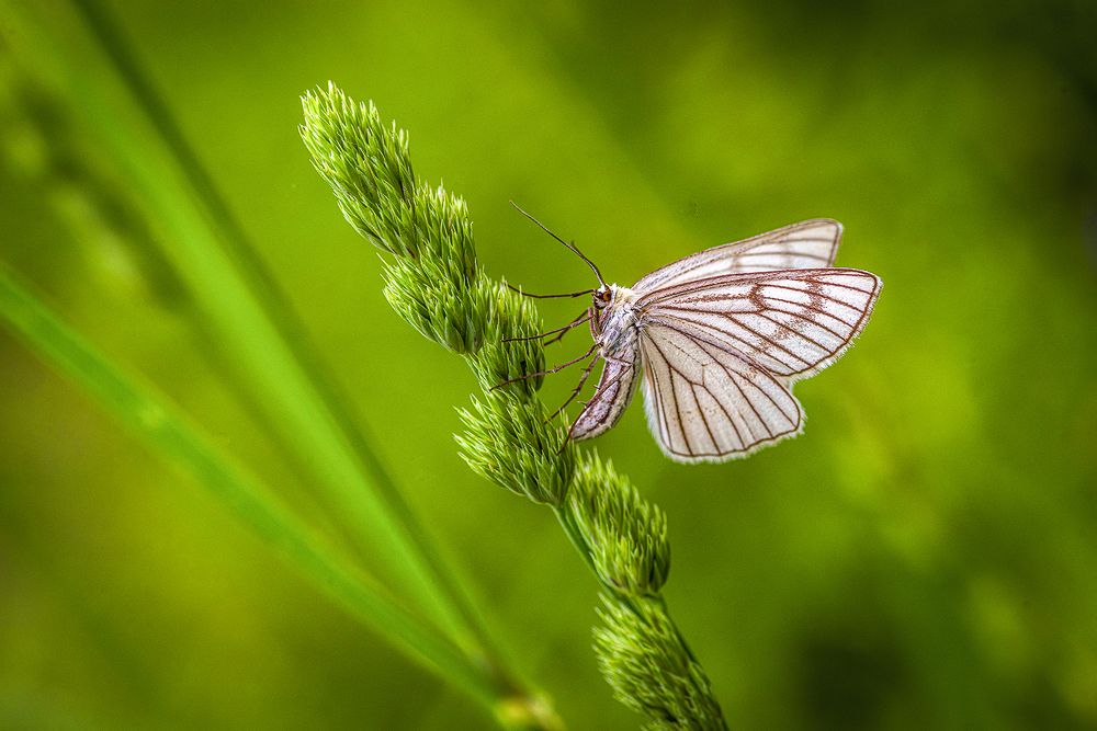 Photograph by Марина Мурашова