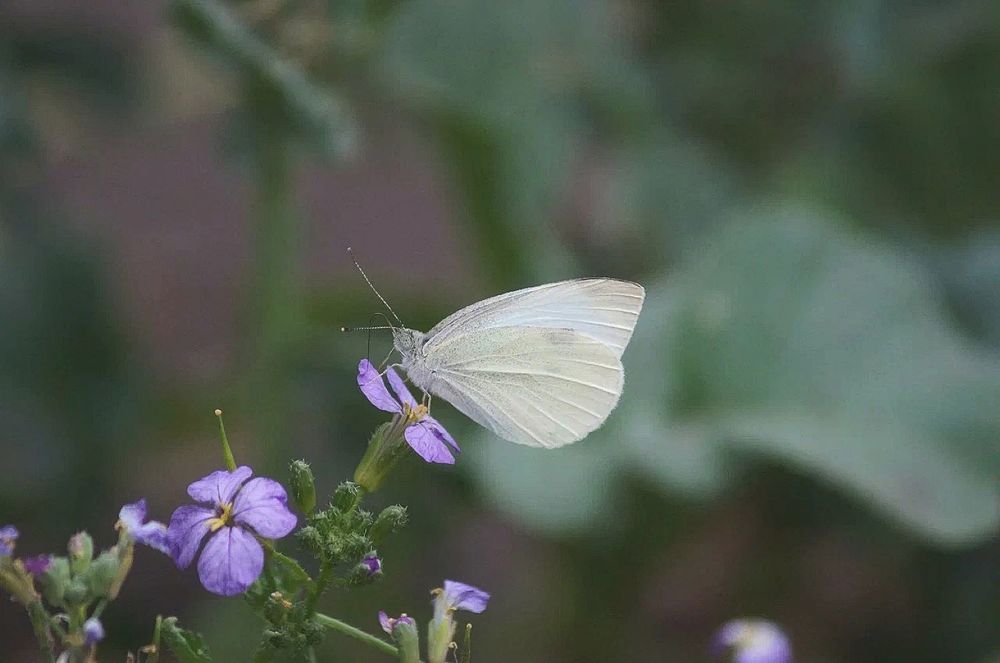 Photograph by Светлана Логинова