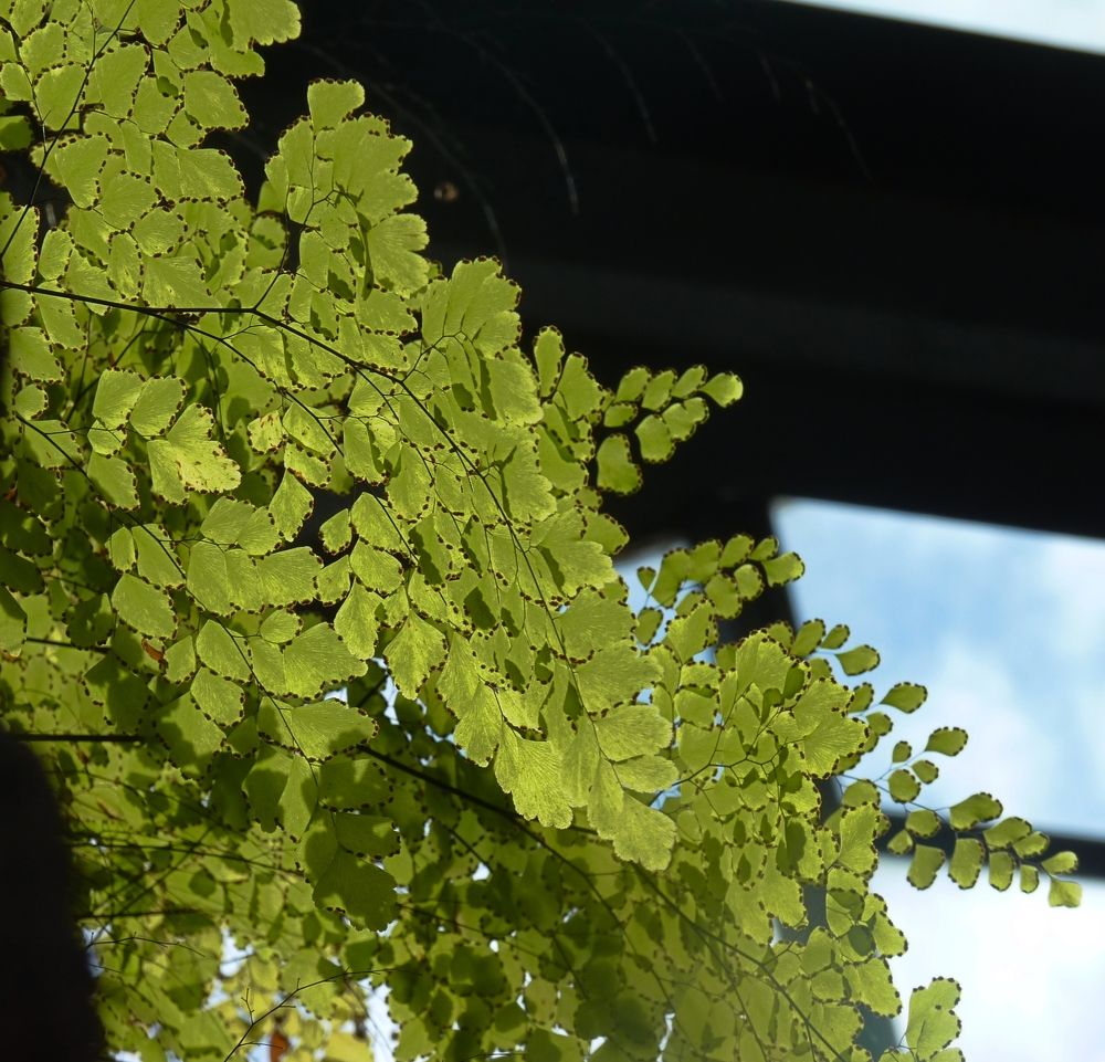 Photograph by SILVIA CLELIA AGOSTINIS