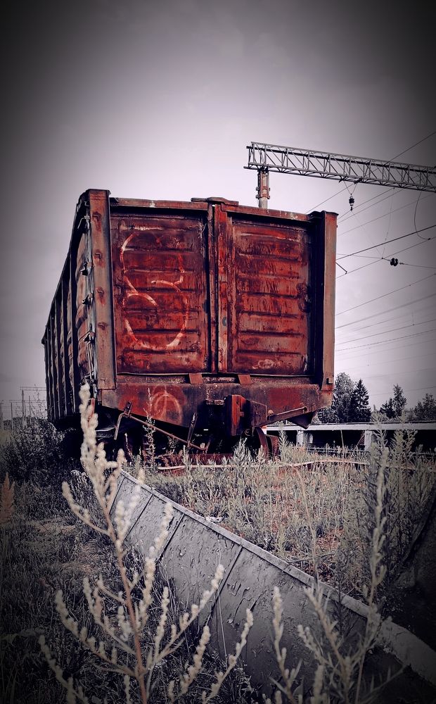 Photograph by Виталий К.