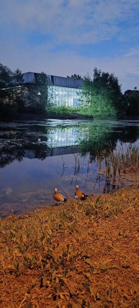 Photograph by Виталий К.