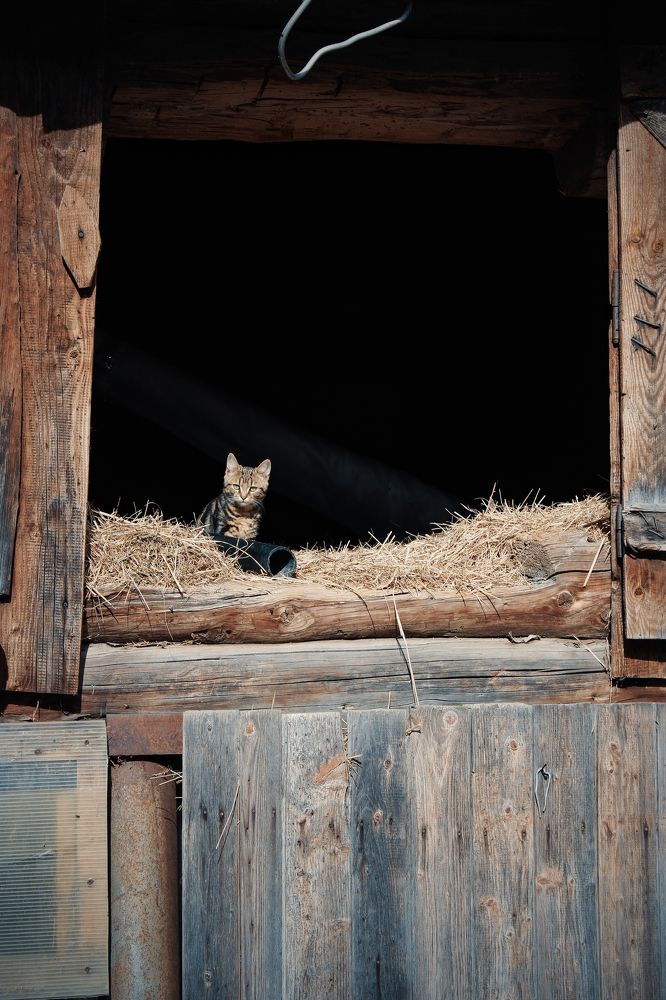 Photograph by Карина Терентьева