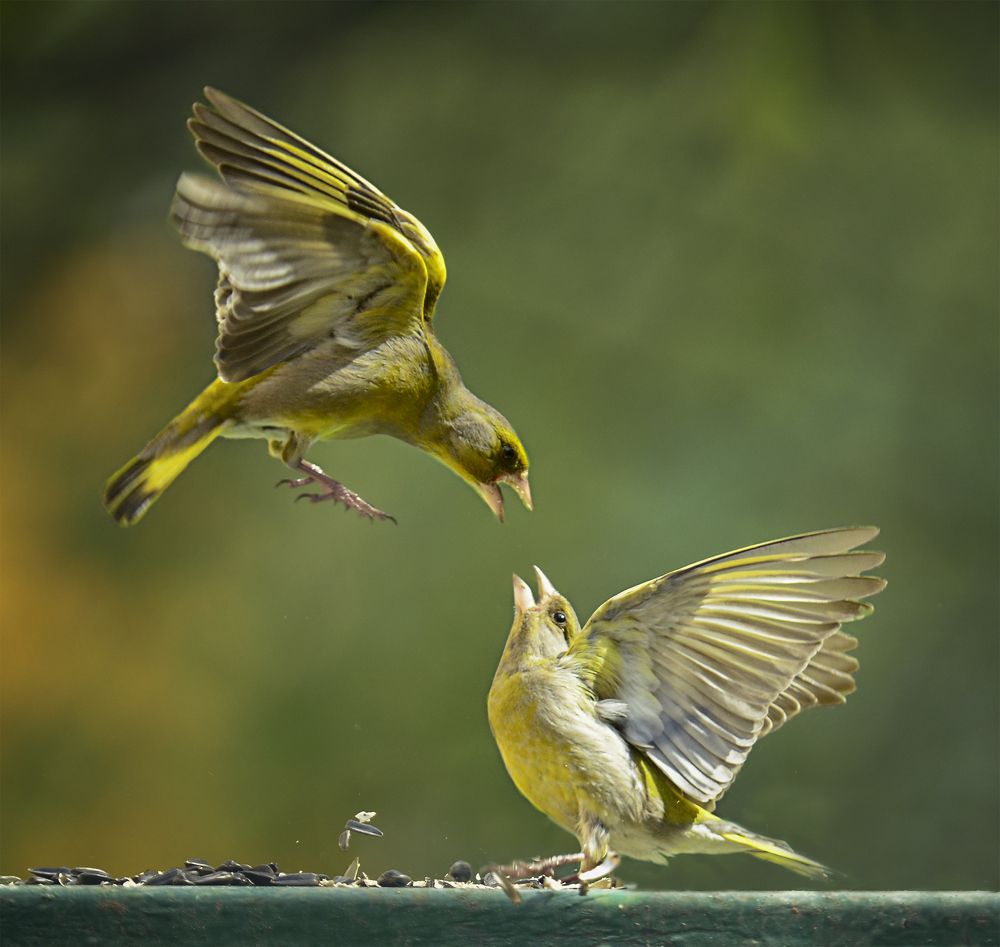 Photograph by Natalia Bolotenkova