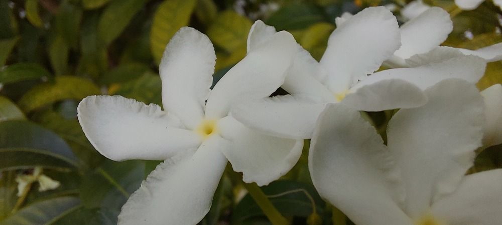 Photograph by CRINALDO REIS