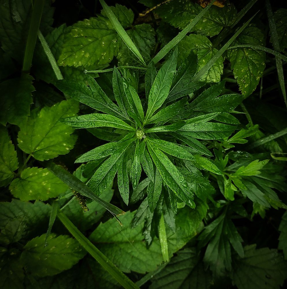 Photograph by Елена Попова