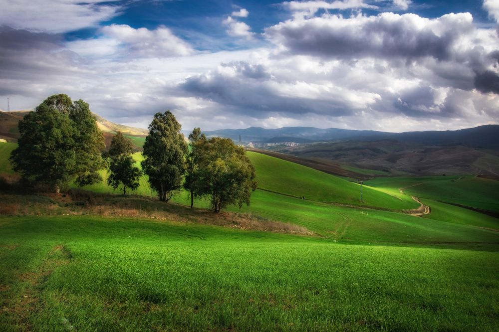 Photograph by Fehd Ghammit