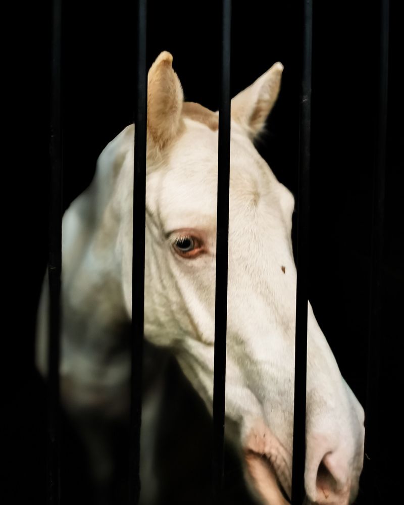 Photograph by Наталья Асоскова