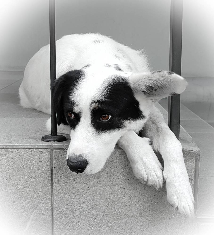 Тоска / Sadness