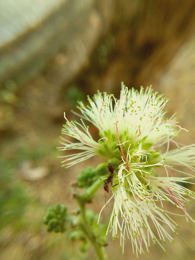 Photograph by CRINALDO REIS