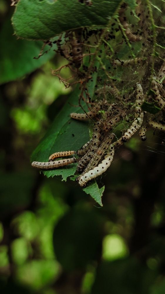 Photograph by Ирина Строкова