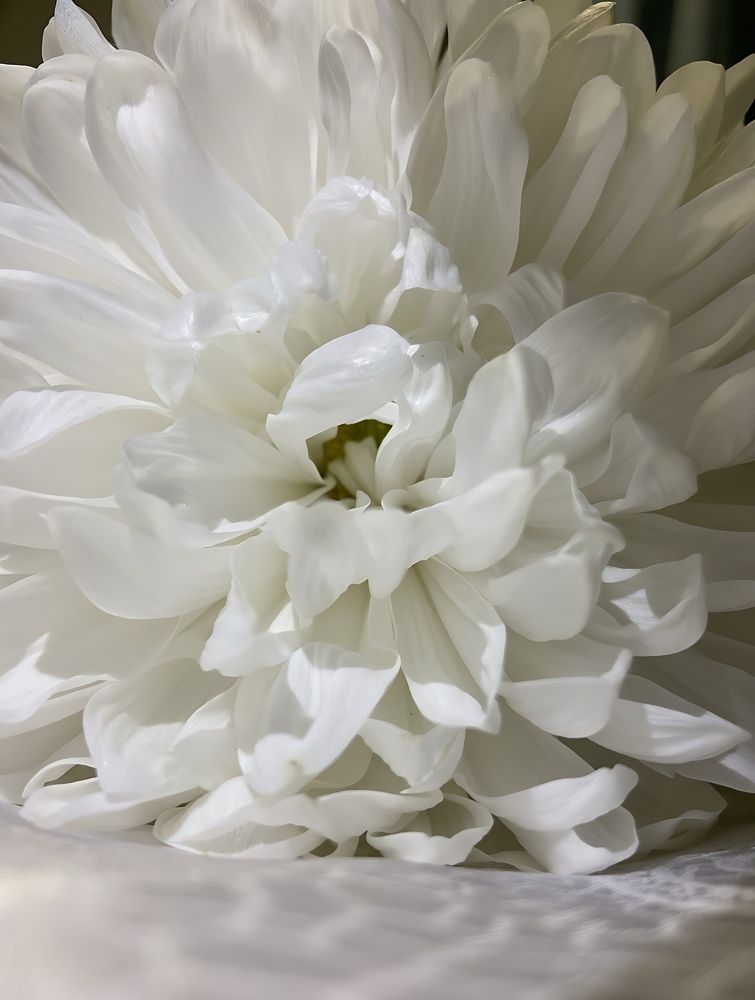 Фотография автора Татьяна Савранчук