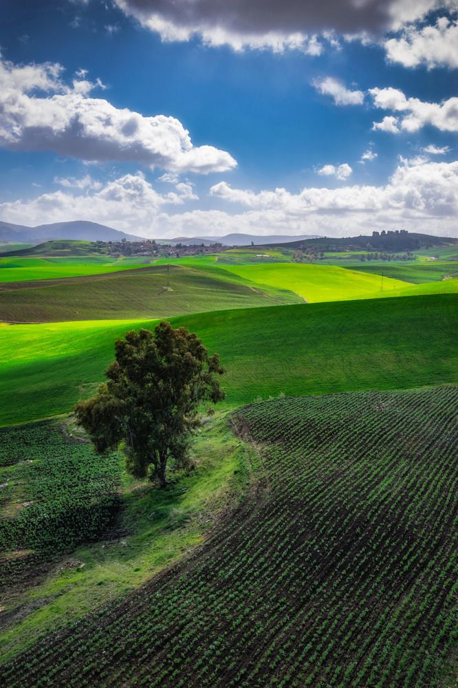 Photograph by Fehd Ghammit