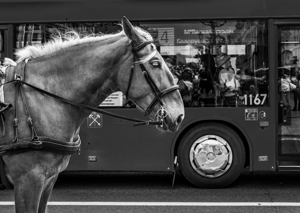 Photograph by Анна Стрелковская