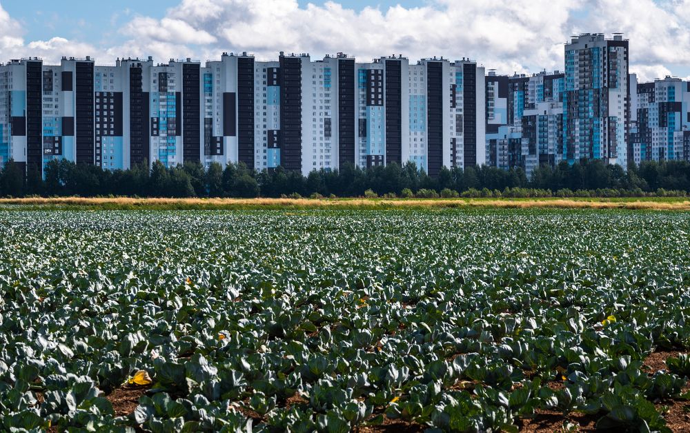 Photograph by Анна Стрелковская