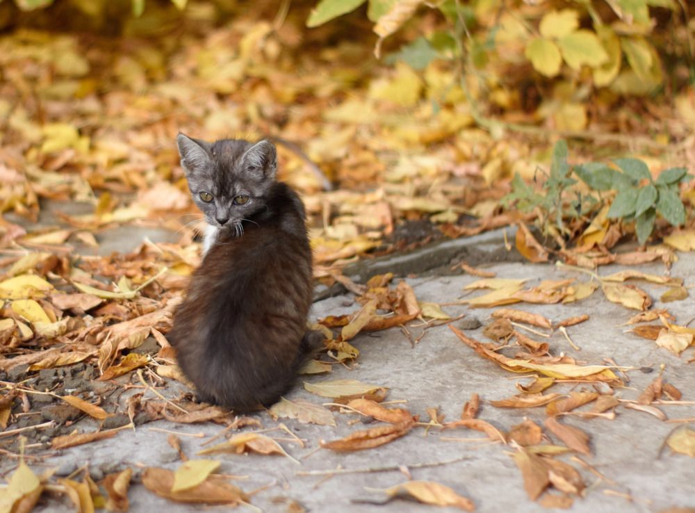 Photograph by Света Сафонова