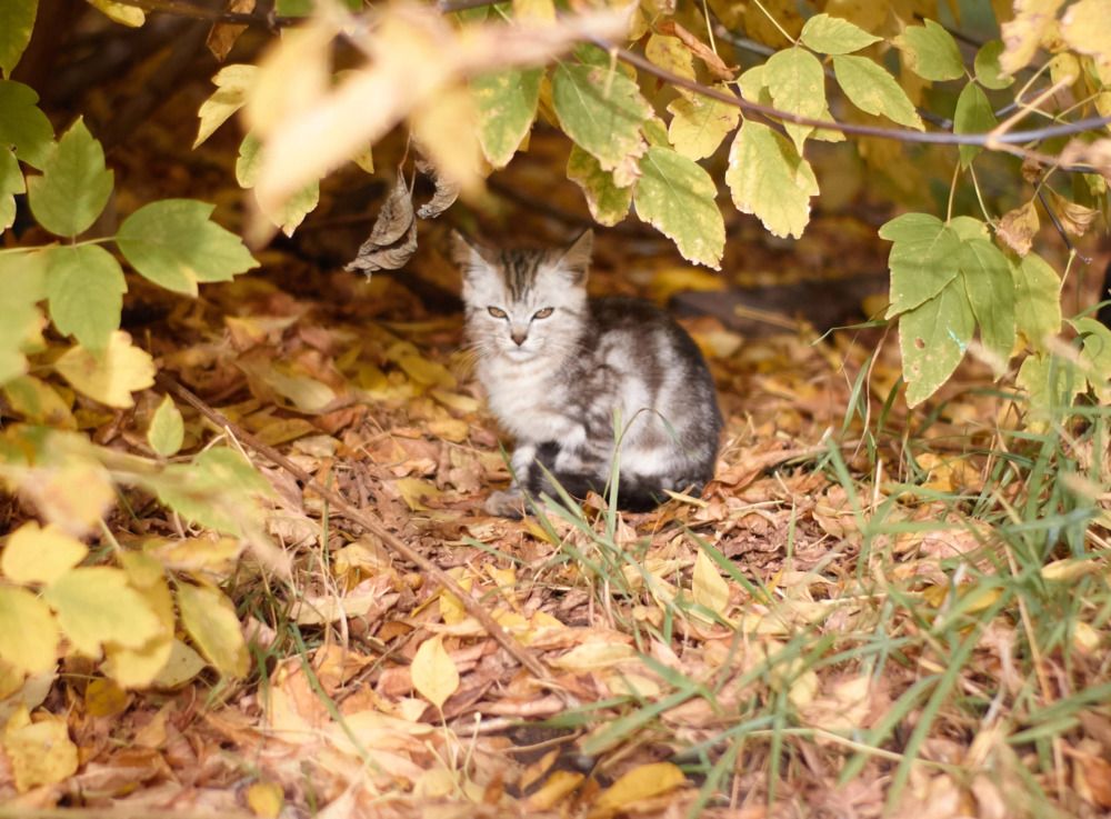 Photograph by Света Сафонова