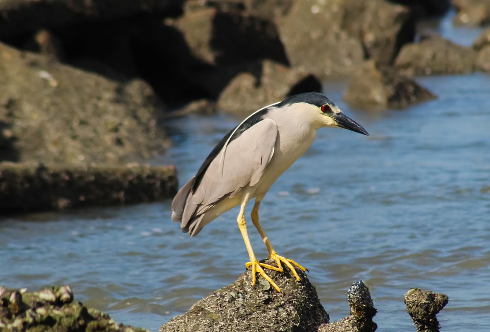 Фотография автора Márcia Cristina Machado