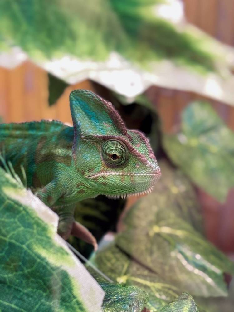 Photograph by Елизавета Нефедова