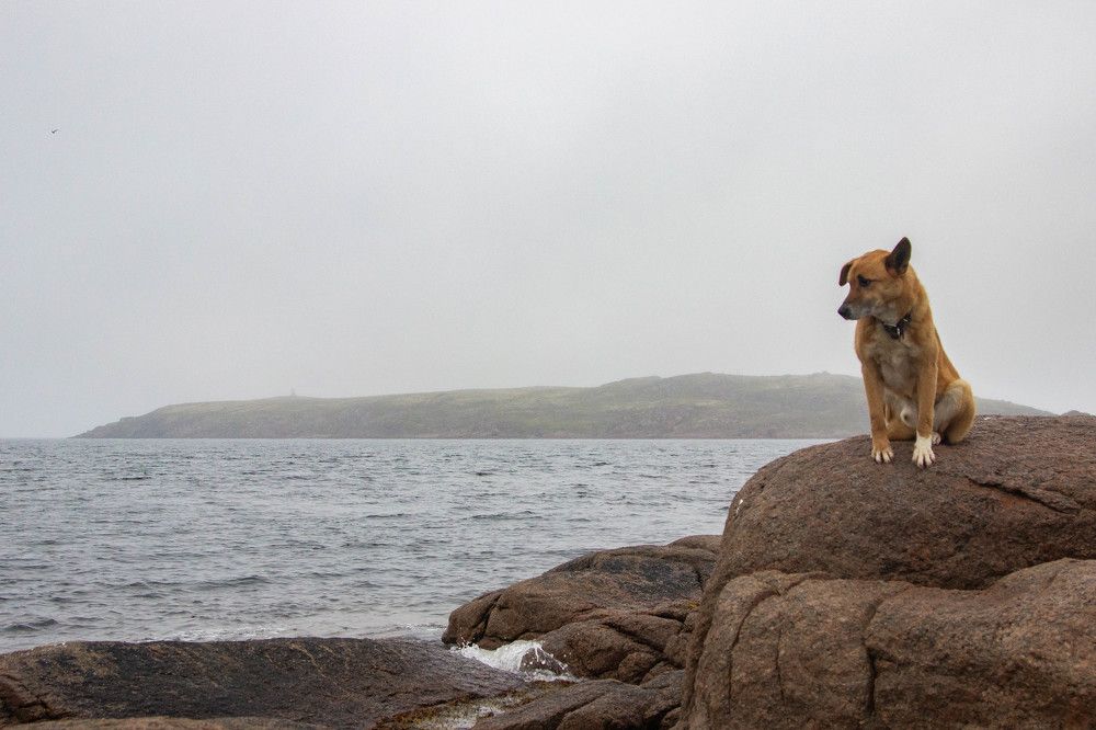 Photograph by Alina Bystrova