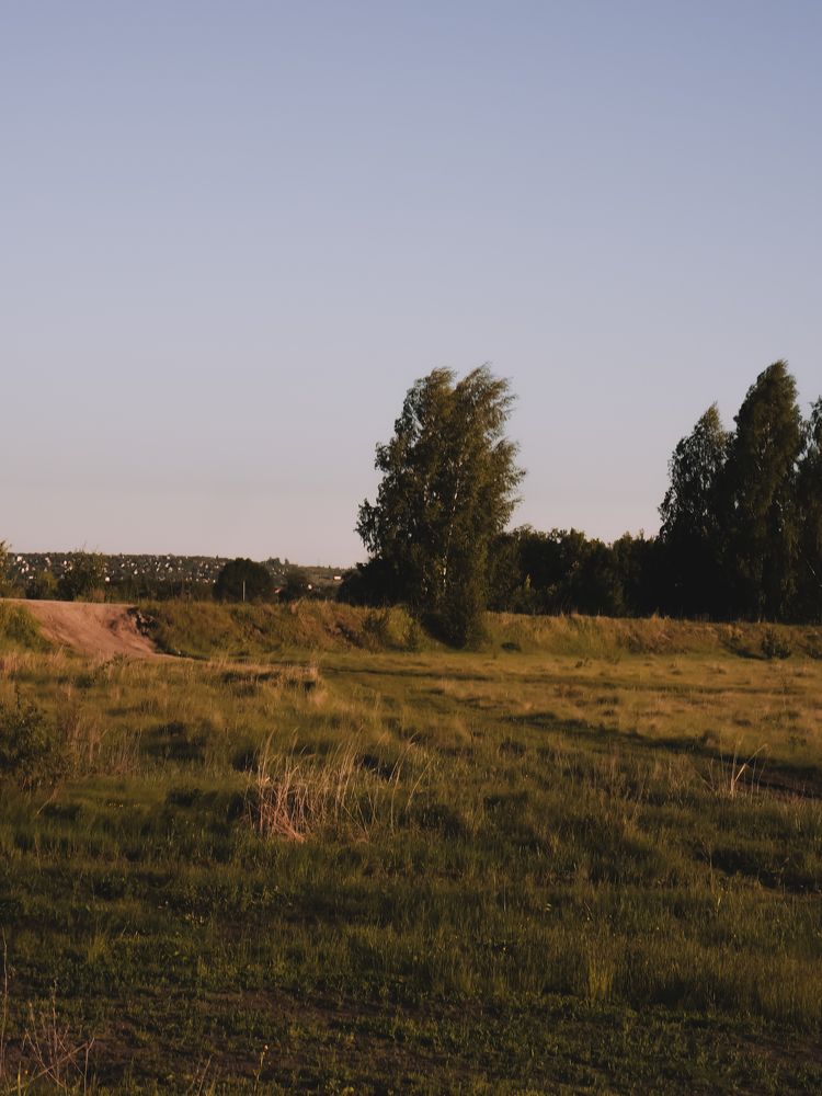 Photograph by Виктория Дворецкая