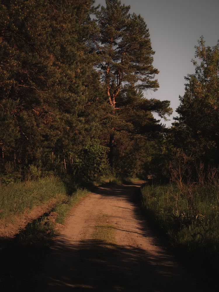 Photograph by Виктория Дворецкая