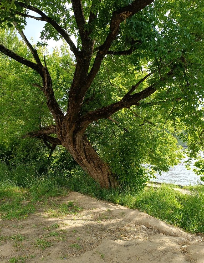 Photograph by Виталий К.