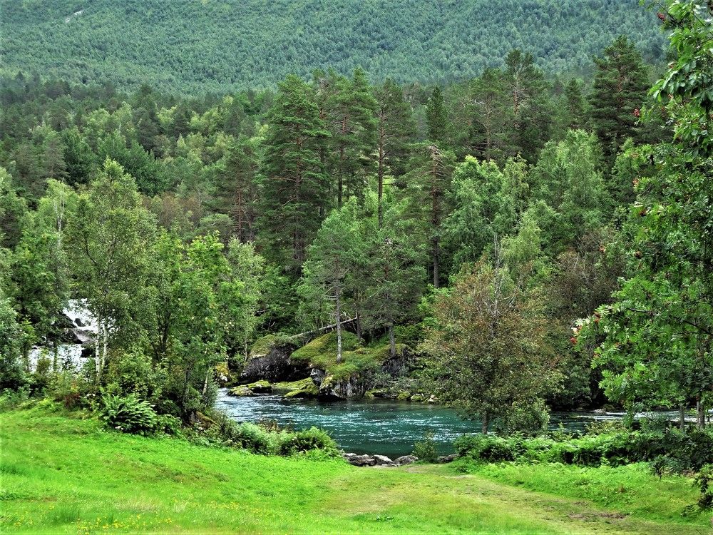 Photograph by Мила Милая