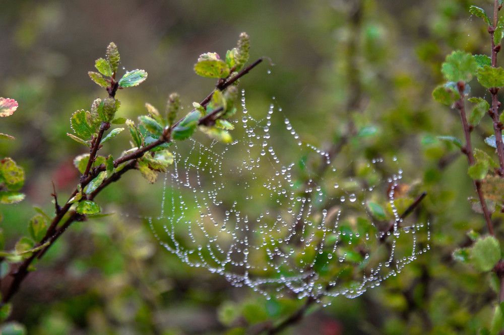 Photograph by Alina Bystrova