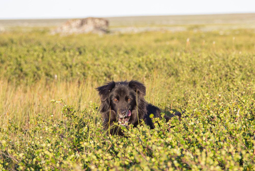 Photograph by Alina Bystrova