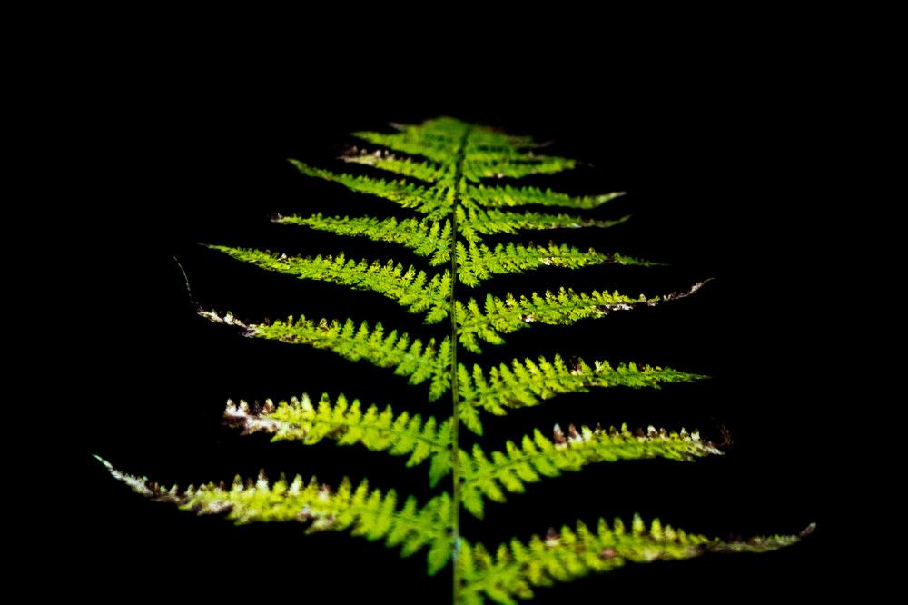 Photograph by Александр Ходакин