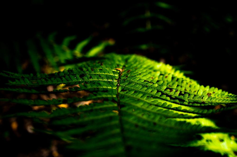 Photograph by Александр Ходакин