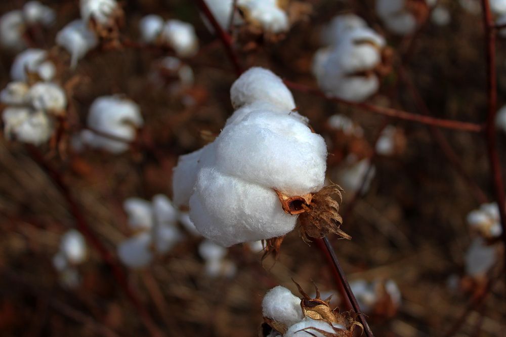 Фотография автора Jeff Cooley