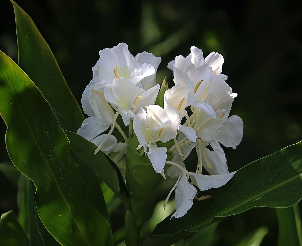 Фотография автора Jeff Cooley